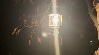 The Radius 110A lantern with the Luxor mantle - 1