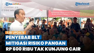 TERUNGKAP Penyebab BLT Mitigasi Risiko Pangan Rp 600 Ribu Tak Kunjung Cair, Ini Kata Menko Airlangga