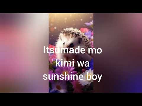 Alyssa Milano |  Kimi wa sunshine boy (lyrics)