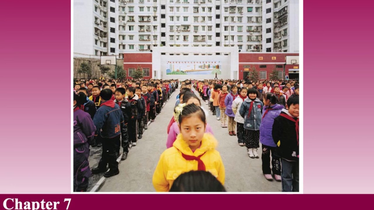 apes ch 7 human population