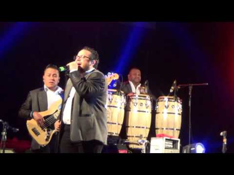 Olvidada no, junior klan