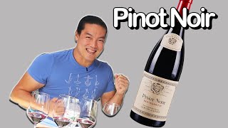 Run to a wine store to buy this right now! (10 Pinot Noirs)