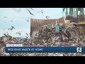 Reducing Waste At Home