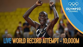[討論] 新的女子5000m和男子10000m世界記錄