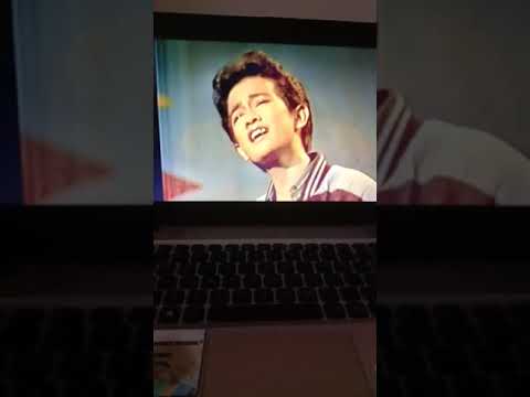 Sophie Amoyy~Haruskah aku Memilih Janter Simorangkir