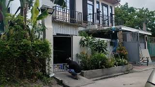 pintura ng gate