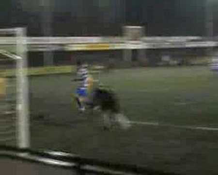 Haaglandia B1 - XerxesDZB B1