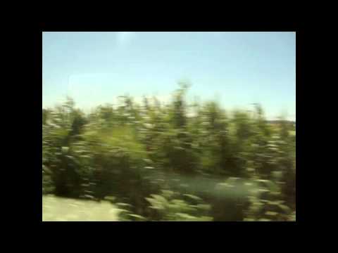 0213 🇵🇹 Fontela 🚆 CP 2240, Sub. 16 815: Figueira da Foz ➙ Coimbra