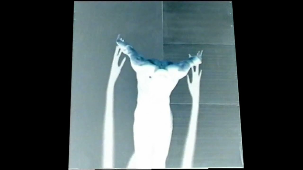 The Shadow Of the Body - TRAILER