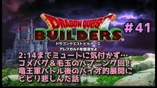 【ドラクエビルダーズ】DQBやってみた＃41 2:14までミュートに気付かず…コメバグ＆毛玉のハプニング回！竜王軍バトル後のバイオ的展開にビビリ悲しんだ話【女性実況】