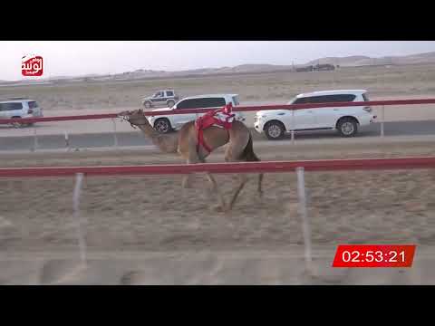    ش 16 (حشمه) لـ خليفه سالم بورويس الكتبي 6:5 , شارة الديوان 3 2026/10/05 سويحان لقايا 