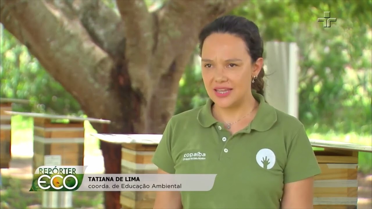 Projeto de restauração da Mata Atlântica é escolhido pela ONU como um dos mais relevantes do mundo