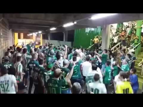 "Barra da Chape:   Não se compara" Barra: Barra da Chape • Club: Chapecoense • País: Brasil