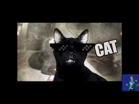 Every Sylvester rapping moment from the Talking Kitty Cat series