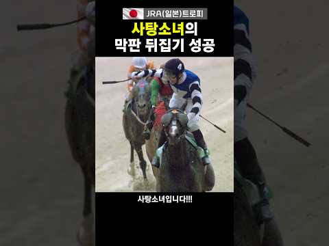 Candy Girl & Furkan! First trophy together! #jra #trophy #Japan