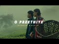 O Preethiye Slowed Reverb Soul Vibez