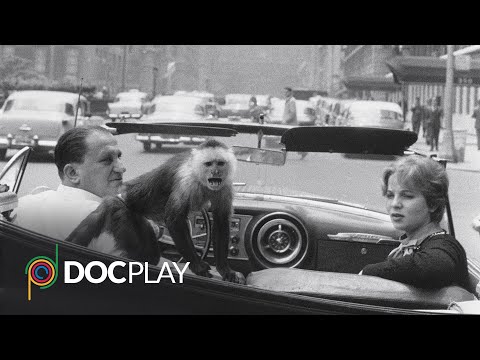 Garry Winogrand: All Things are Photographable | Official Trailer | DocPlay
