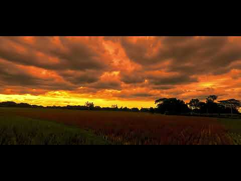 Nature Cinematic Video I Kishoreganj's cloudy skies Nature's colorful canvas I Tasin Cinematic