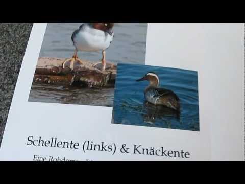 Familybild Fotobuch Test 2012