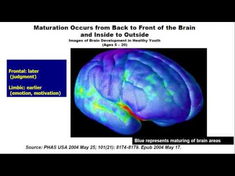 Ken C. Winters | Adolescent Brain Development (ISSUP Expert Days)