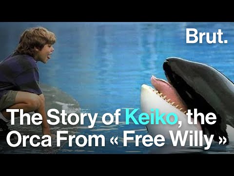 The Story of Keiko