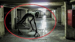 5 Giant Underground Creatures Caught On Camera