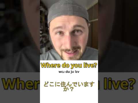 キツネはどこに住んでいますか?