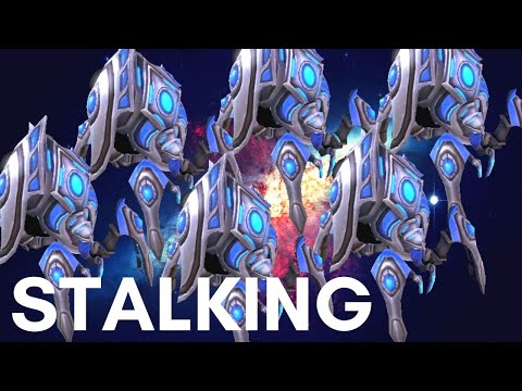 COOLDOWN STALKERS - Vorazun Weekly Brawl [Starcraft 2 Direct Strike]