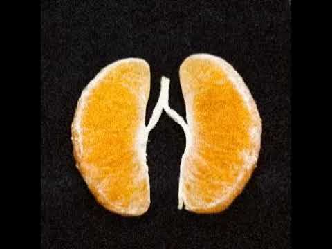 Haunted Casio The Buttress Pitched Down