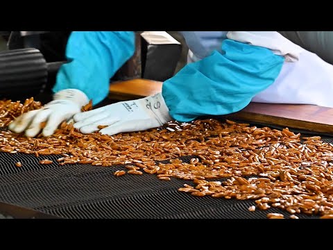 Mass production! Japanese crackers making process. An old food factory in Japan.