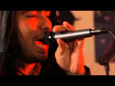 Un tesoro tehijah by stailok