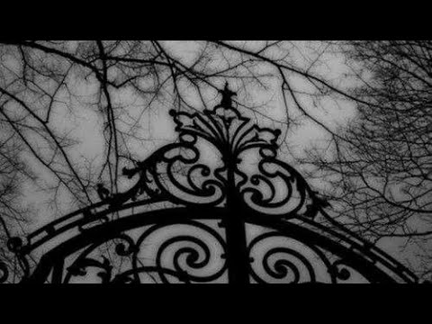 Insomniac - Memo Boy & Chakra Efendi (Serena form mtv downtown)