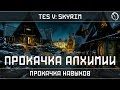 SKYRIM. Эффективная прокачка алхимии 