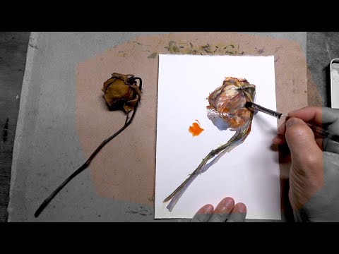 PROCESS: Daily Rose Watercolour Painting DAY 2541 (20220723SAT)