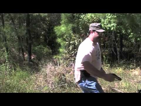 Bulldog retention holster. review unboxing