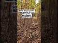 Hot Climate Apple Plants Nursery Fruitplantnursery Hotclimateapple Annaapple Applefarming