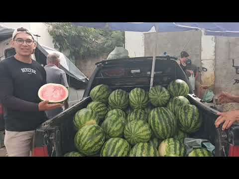 08/06/2026  PÁTIO DA FEIRA DE FRUTAS  NA CIDADE DE CUSTÓDIA PERNAMBUCO BRASIL 