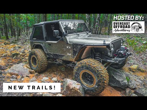 Jeep Wrangler TJ | WILD Wheeling with the JK’s!
