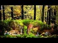 Joan Baez - All In Green Went My Love Riding (Lyrics)  [HD]