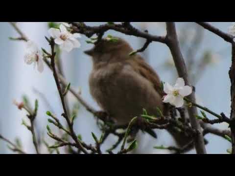 NTIZAGUSIGA by Yvonne Uwase