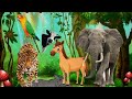 Wild Animals Sound Farm Animals Sound Cow Cat Dog Chicken