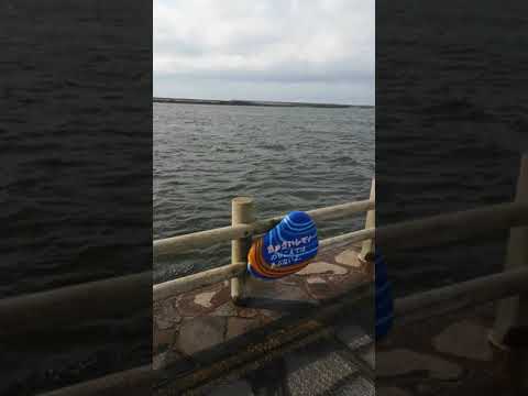Parque del río Teshio, ciudad de Teshio, distrito de Teshio, Hokkaido