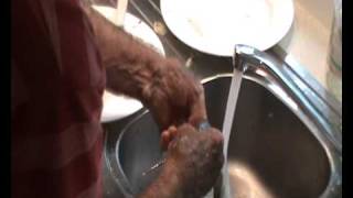 HOW TO CLEAN AND BUTTERFLY GARFISH.wmv