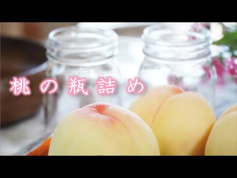 桃の保存方法:こうすれば鮮度が長持ちします 植物
