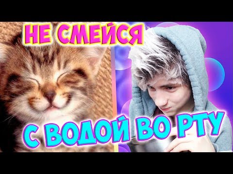САМОЕ СМЕШНОЕ ВИДЕО В МИРЕ |ПОПРОБУЙ НЕ ЗАСМЕЯТЬСЯ С ВОДОЙ ВО РТУ ЧЕЛЛЕНДЖ|ТЕСТ НА ПСИХИКУ CHALLENGE