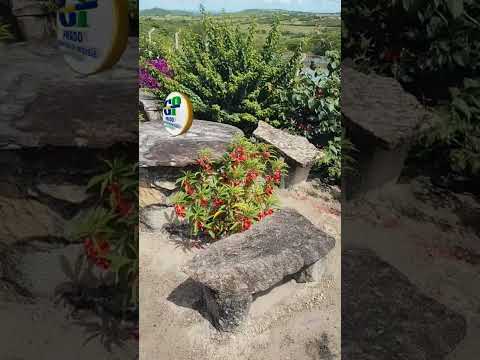 chácara para vender em tacaimbó Pernambuco