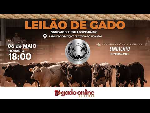 ⭐ 75º LEILÃO MISTO  SINDICATO DOS PRODUTORES RURAIS DE ESTRELA DO INDAIÁ/MG