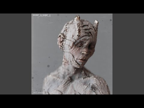 Captions Are Automatically Generated