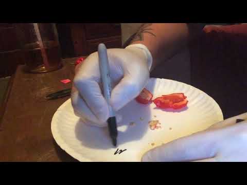 How I save pepper seeds for next year