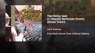 That Being Said (J. Howells Werthman Remix) (bonus Track!)